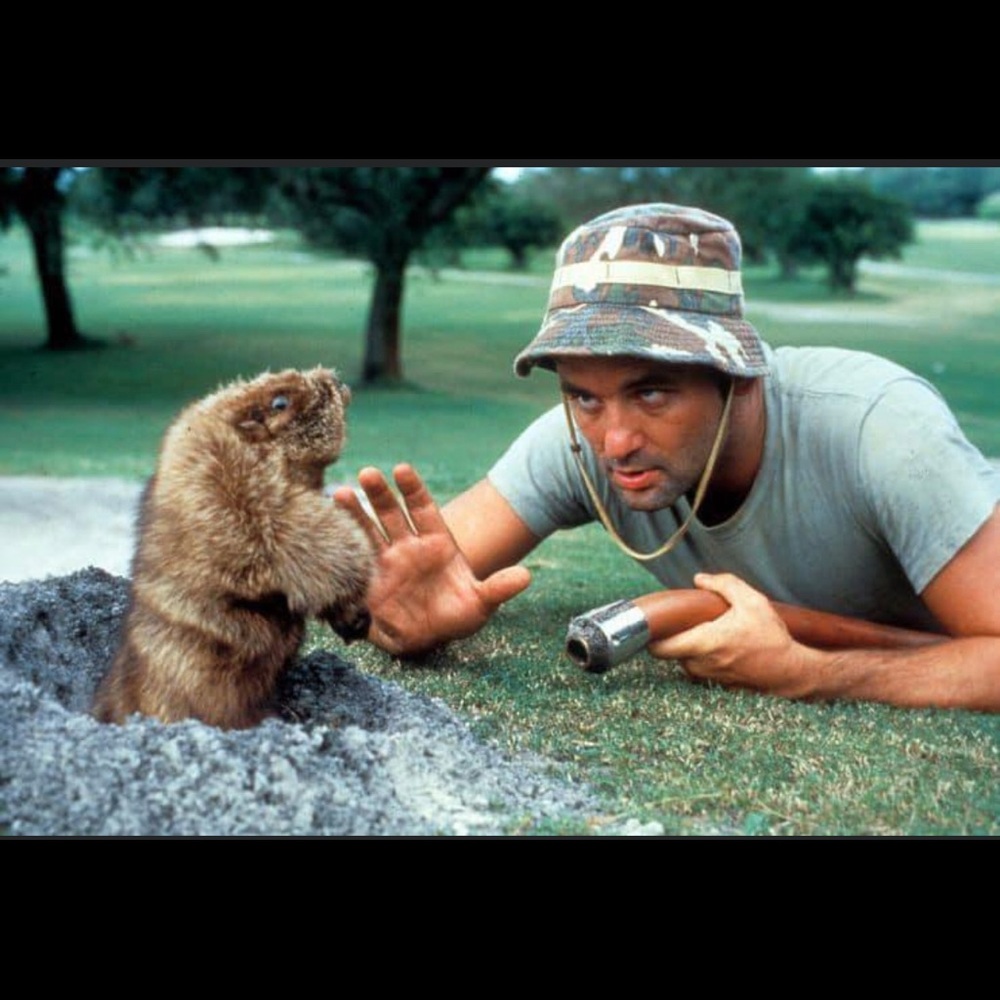 Meet your Posher, Michael